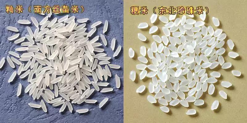 加拿大几十个牌子的米该怎么买?看完这篇就不用发愁了!