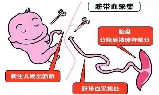 景甜倪妮同台2019年,景甜倪妮同台2019