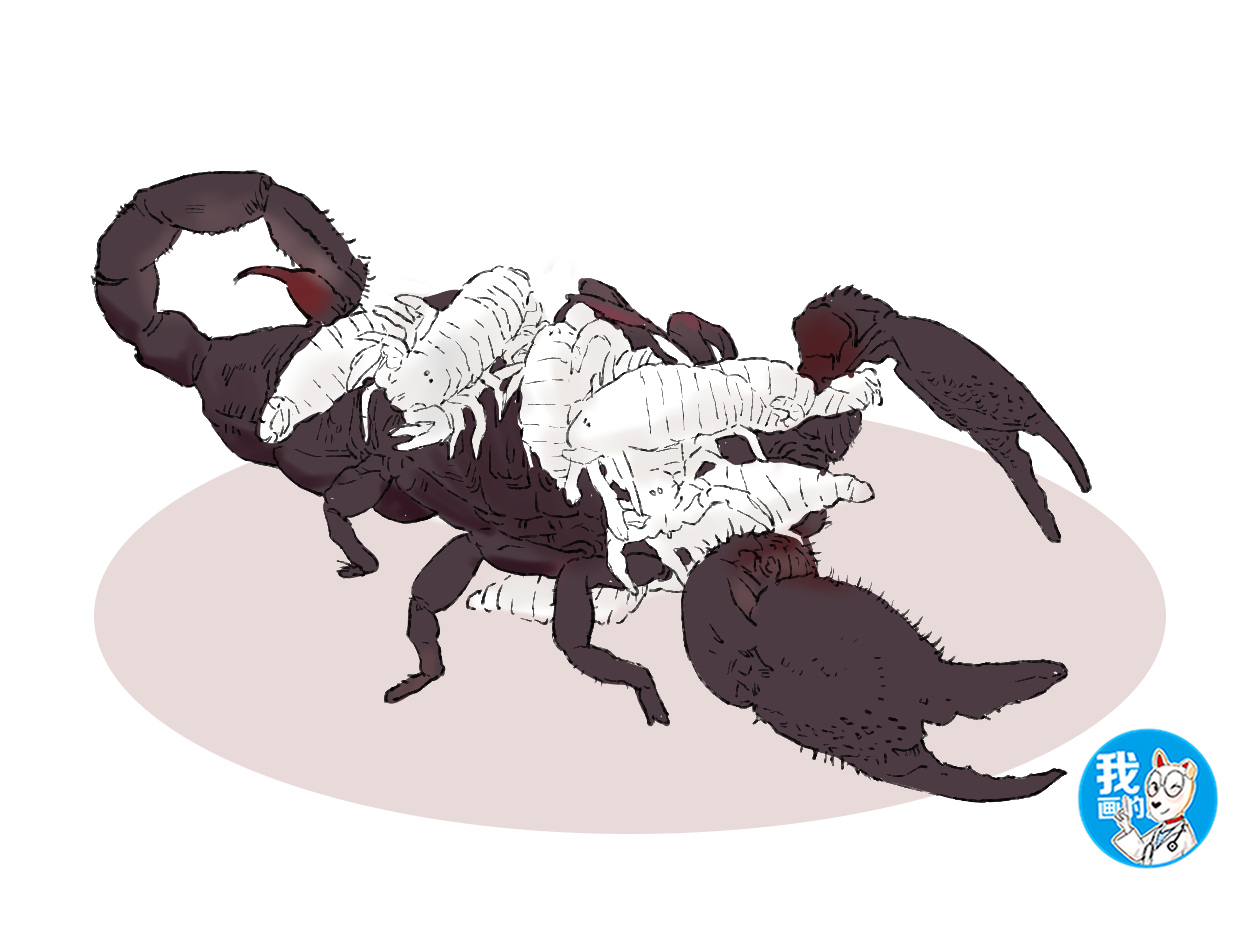 男子路边发现神秘生物吓坏了,男子攀爬险峻岩石突然发现蝎子