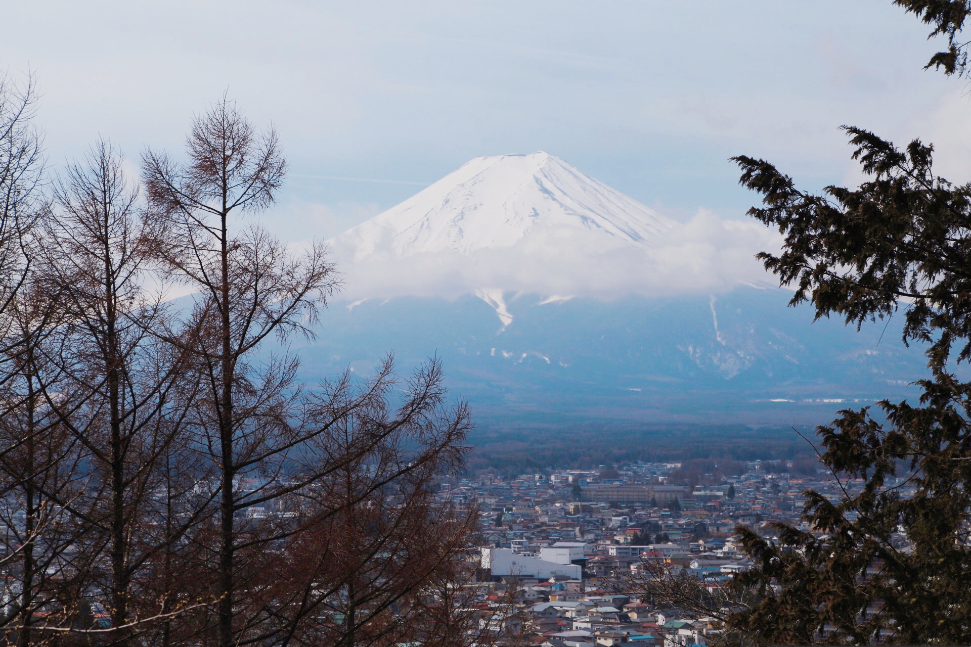 日本人徐福传说,日本信奉的神徐福