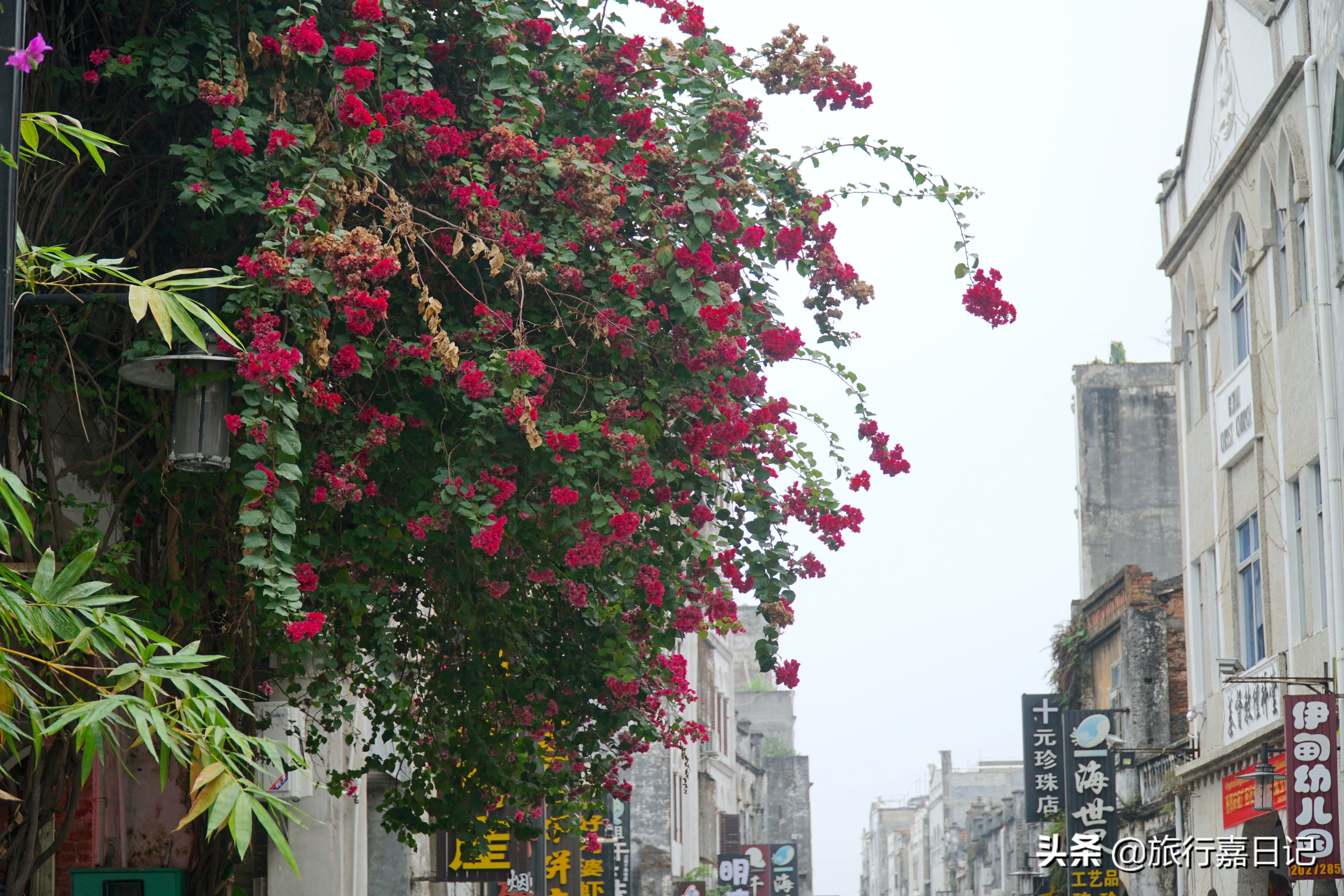 重庆到海南6天自驾游攻略,自驾游重庆到四川4天