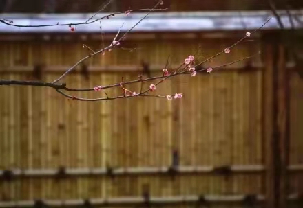 全唐五代词会评选读：唐.李白