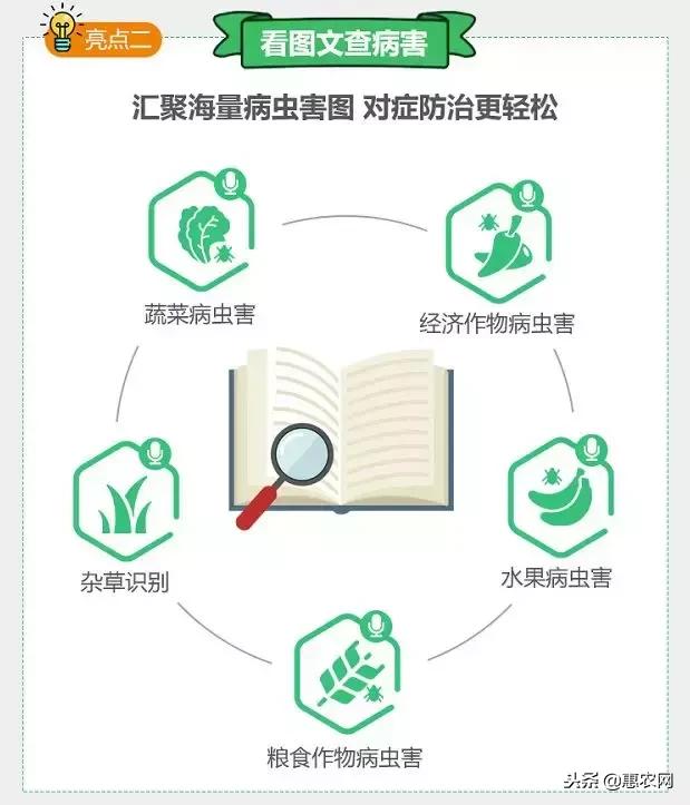 免费农技学堂惠农网,三农网种植技术指南最新版