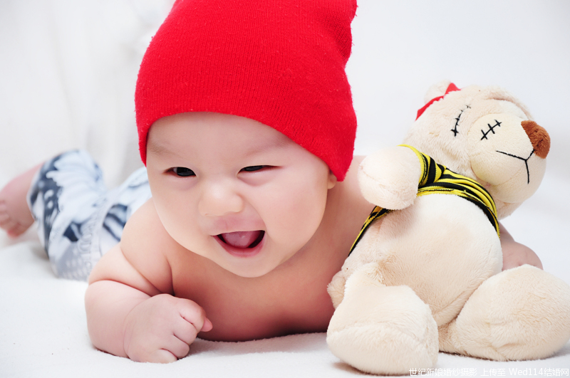 诺必行婴宝怎么辨别真假,诺必行婴宝成分是什么