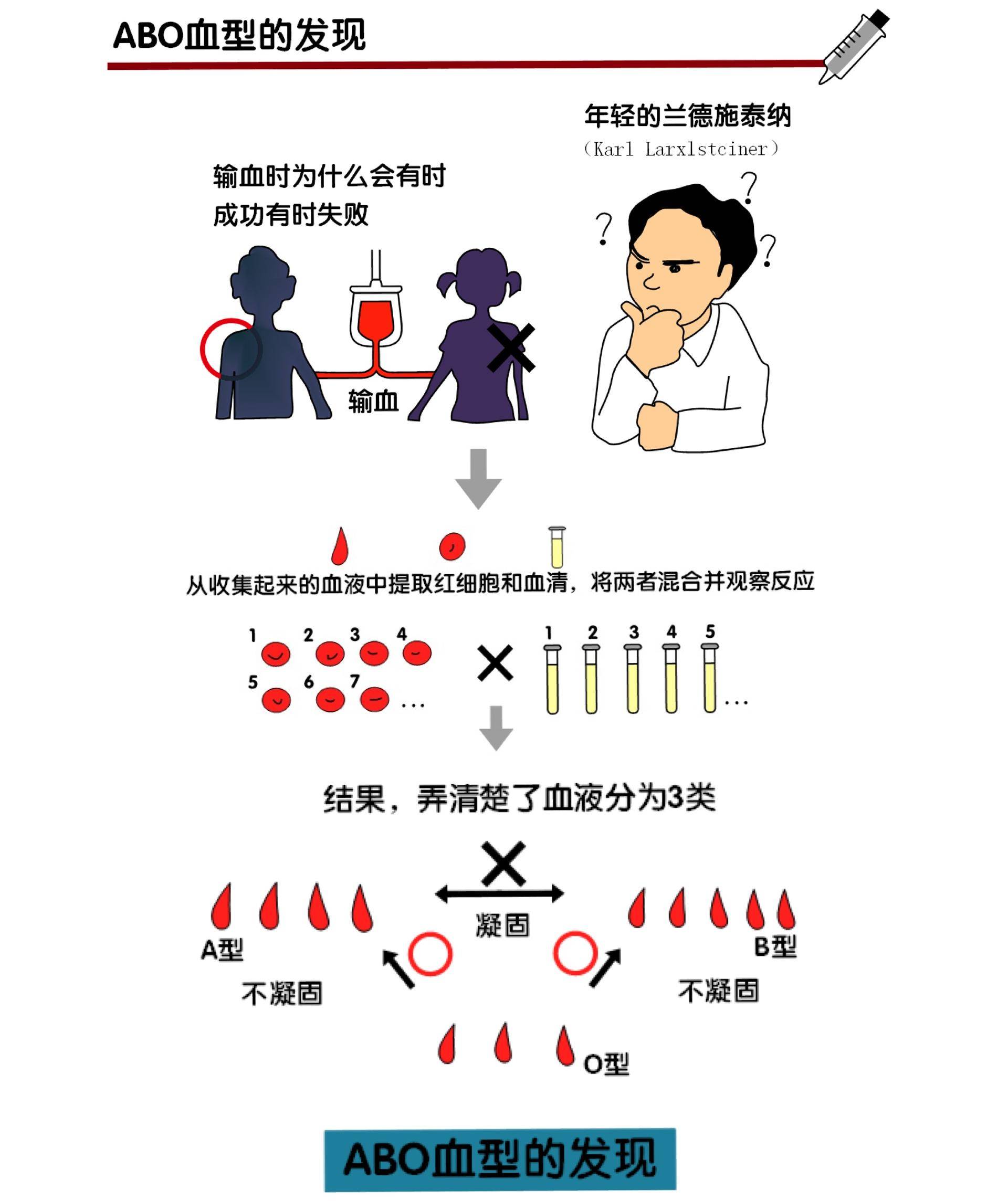 不同类型的血型会怎样,血型分析与血型特征