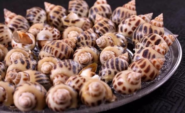 史上最全面的海鲜大咖,史上最全海鲜视频