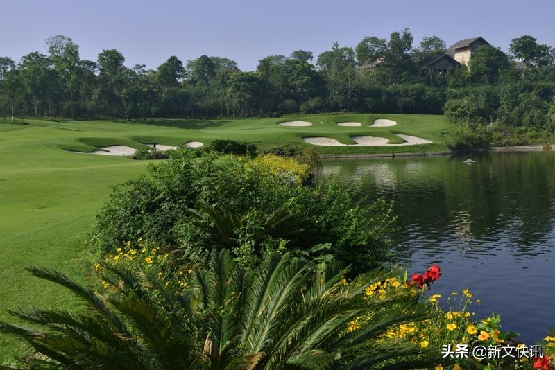 成都世警会开幕式,2019成都世警会开幕式