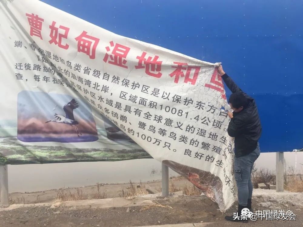 被拆湿地公园,曹妃甸湿地保护区在哪里