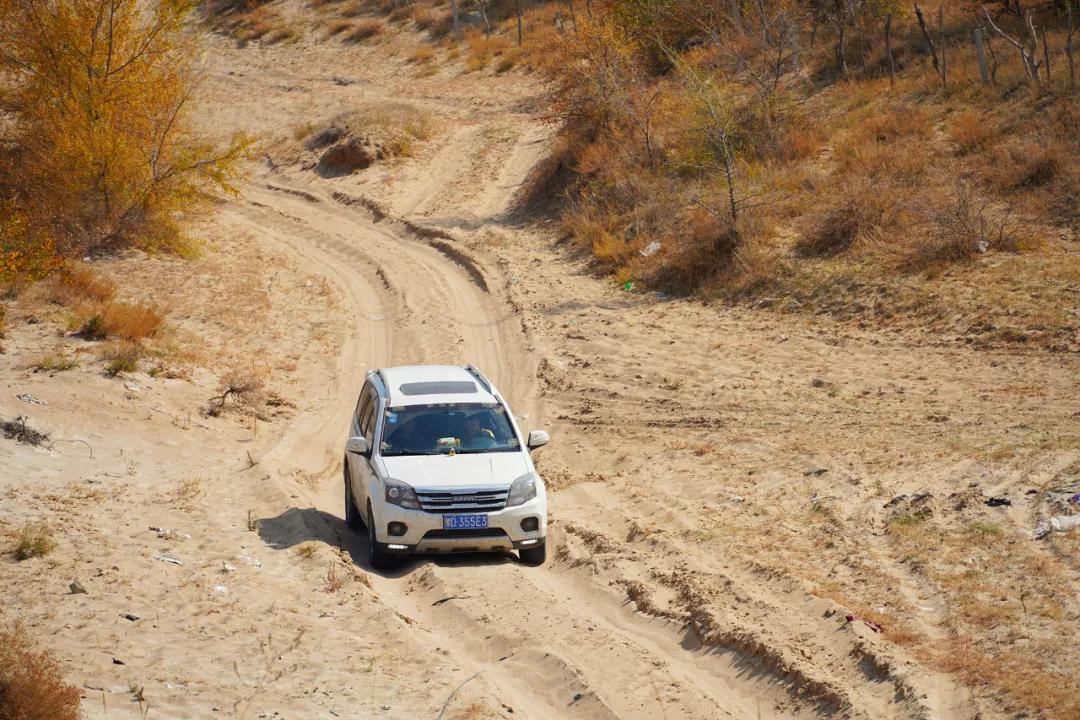 坝上秋色之金色草原,坝上金色草原风景
