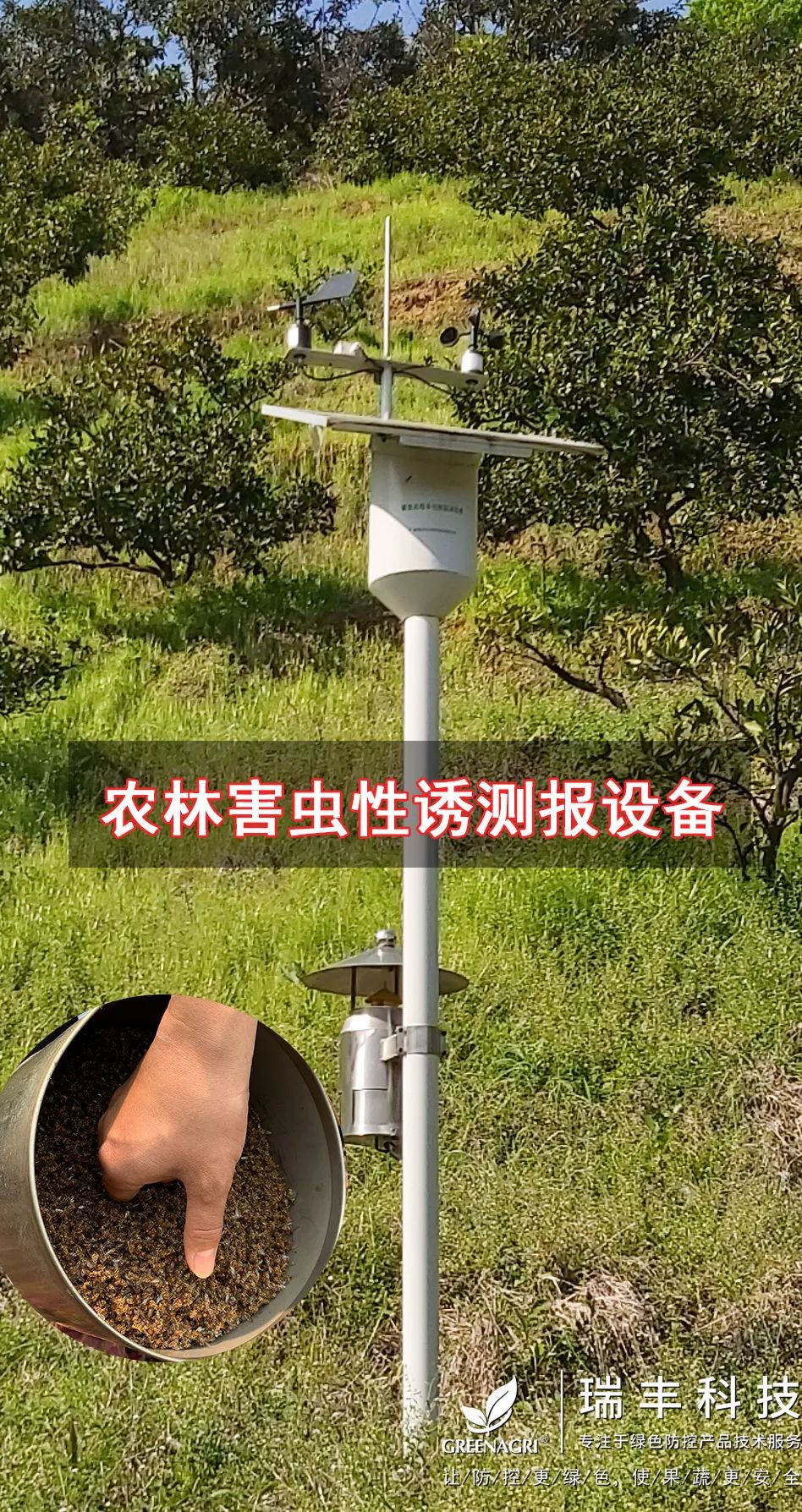 诱粘瓜实蝇,实蝇诱粘剂