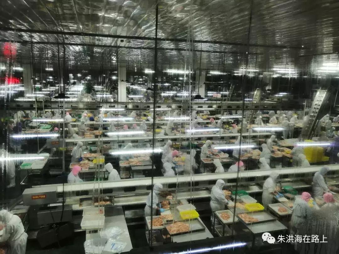 宝泉岭老兵回忆,宝泉岭抗美援朝老兵