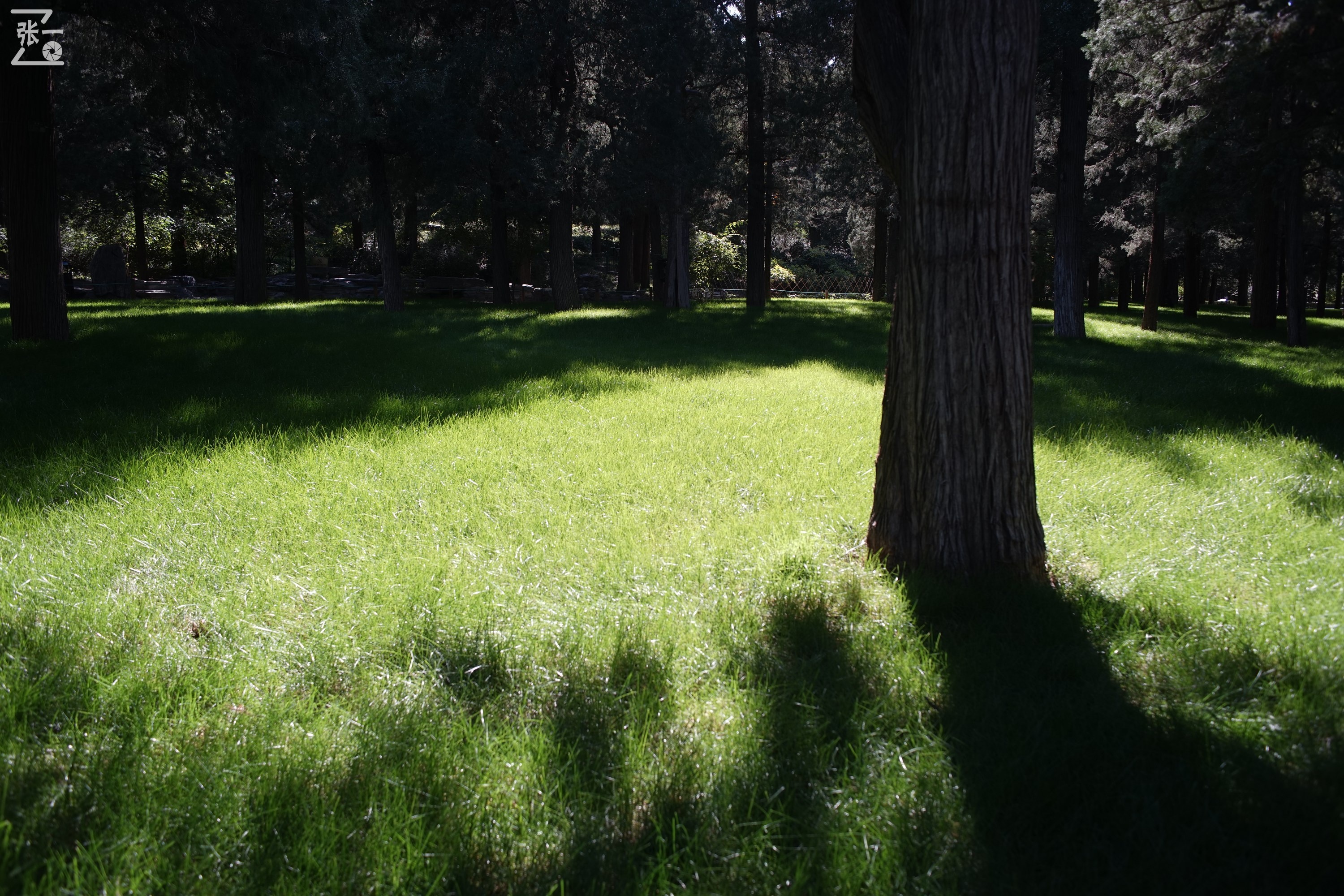 镜头测试：蔡司红T28/2.8+索尼微单A7实拍北京景山公园