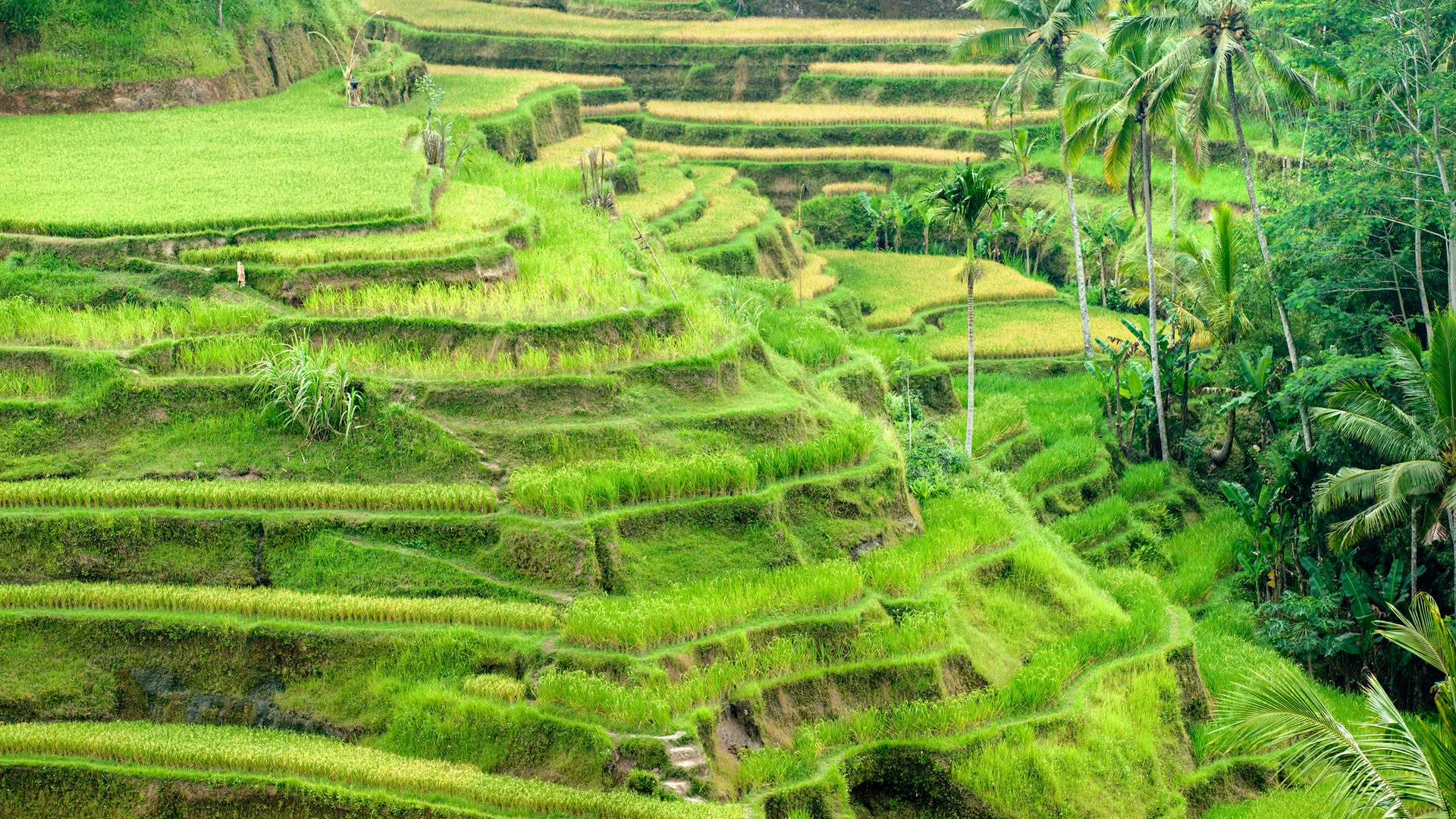 深夜伤感的说说人生感悟,有种心痛叫做彻夜难眠的说说