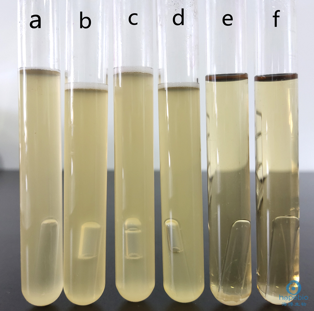 大肠埃希菌菌落计数10.5,大肠埃希氏菌计数3+严重吗