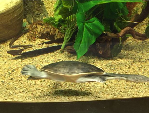 常州金鹰海洋世界门票,常州海洋金鹰海洋世界