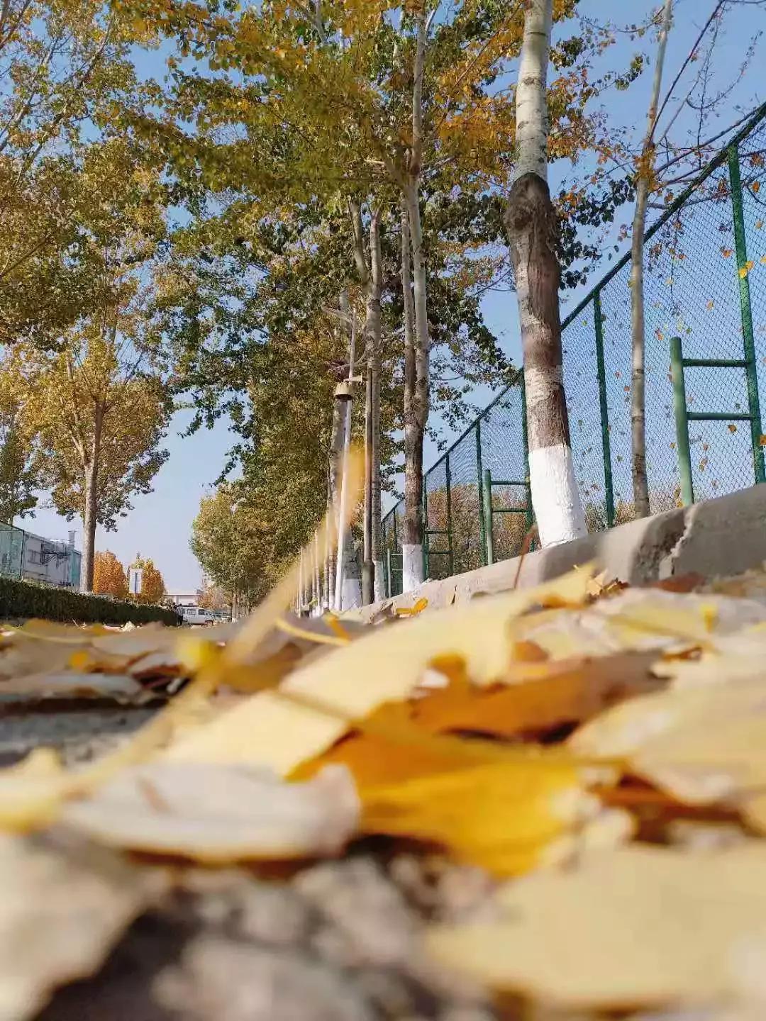 天津市独立院校（四）天津财经大学珠江学院