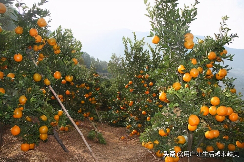 龙胜哪儿有好看的景区,广西的龙胜有什么好玩的