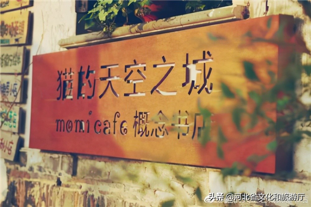 11月北戴河一日游最佳攻略,北戴河假期去哪里玩