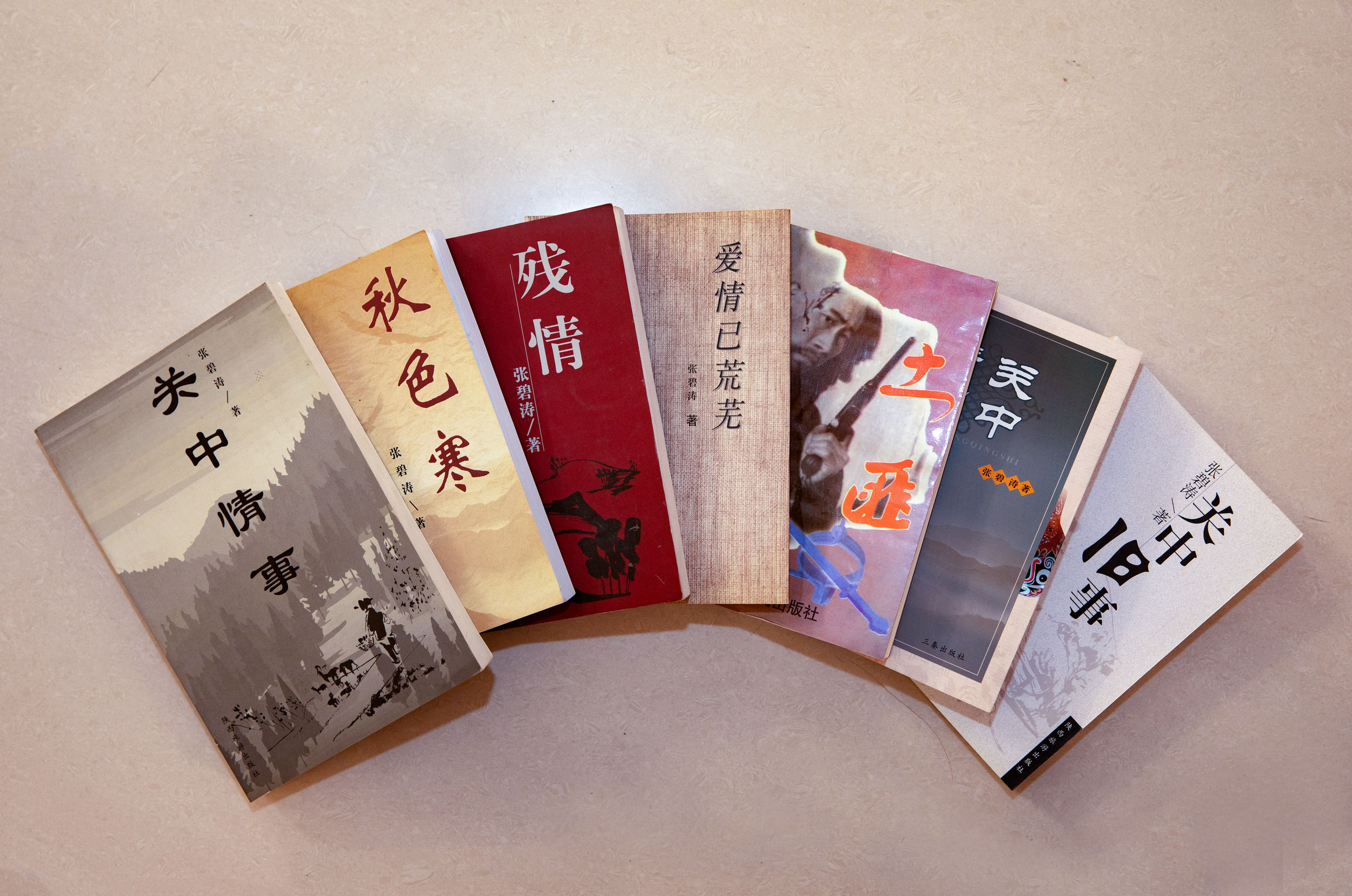 鄠邑区是文化大区，现拥有“国字牌”艺术家15人，名列全省前茅