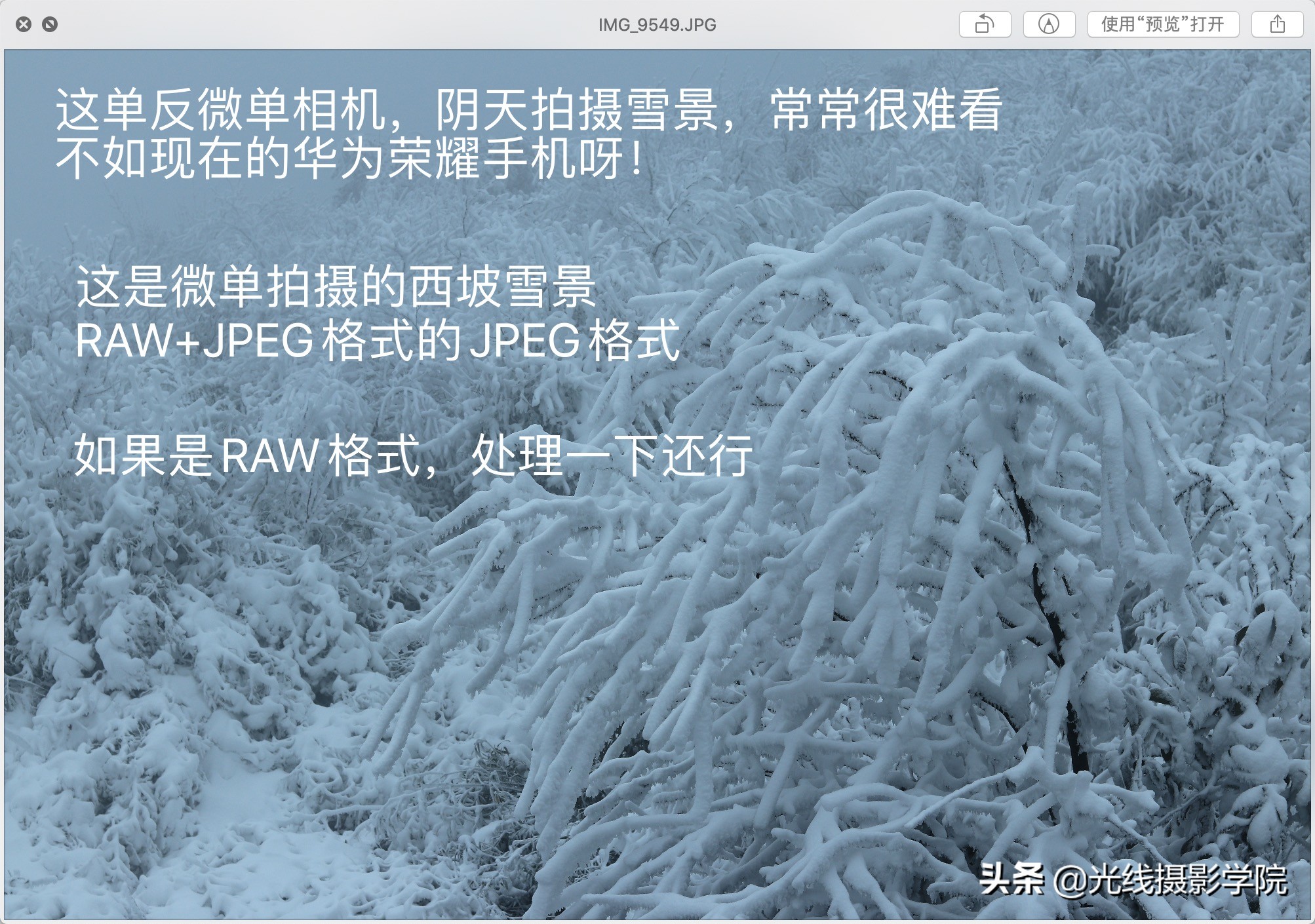 重庆金佛山冬季风景,重庆市金佛山旅游景区在下雪吗