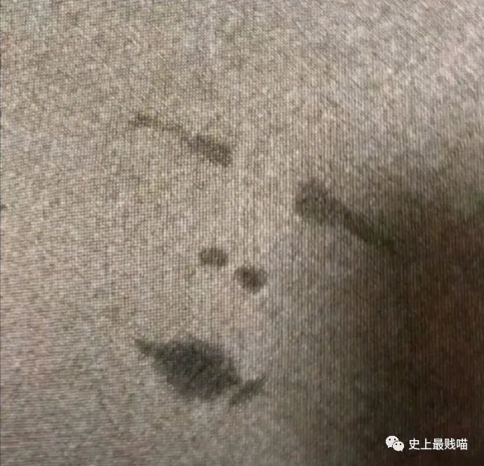 第一次看到把抖m说的这么清新脱俗的...实在太形象了哈哈哈哈哈!