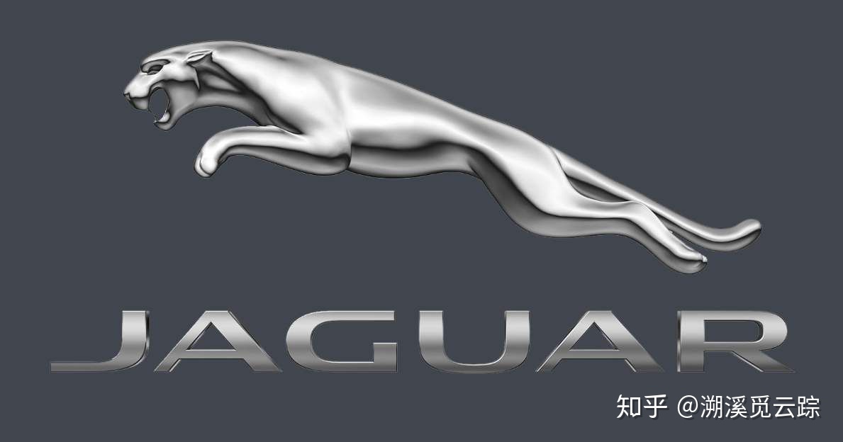 有哪些容易被认错的动物,容易被欺负的动物有哪些