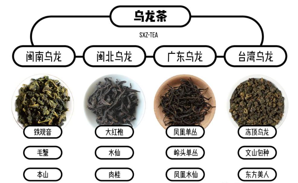 乌龙茶为什么那么多口味,乌龙茶为啥叫乌龙
