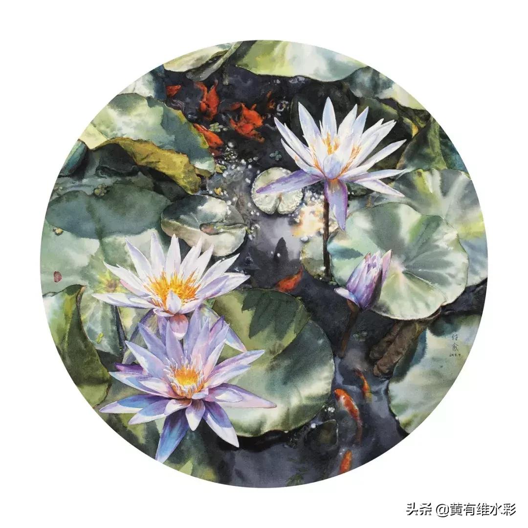 小清新水彩画玫瑰花,水彩画雨中玫瑰