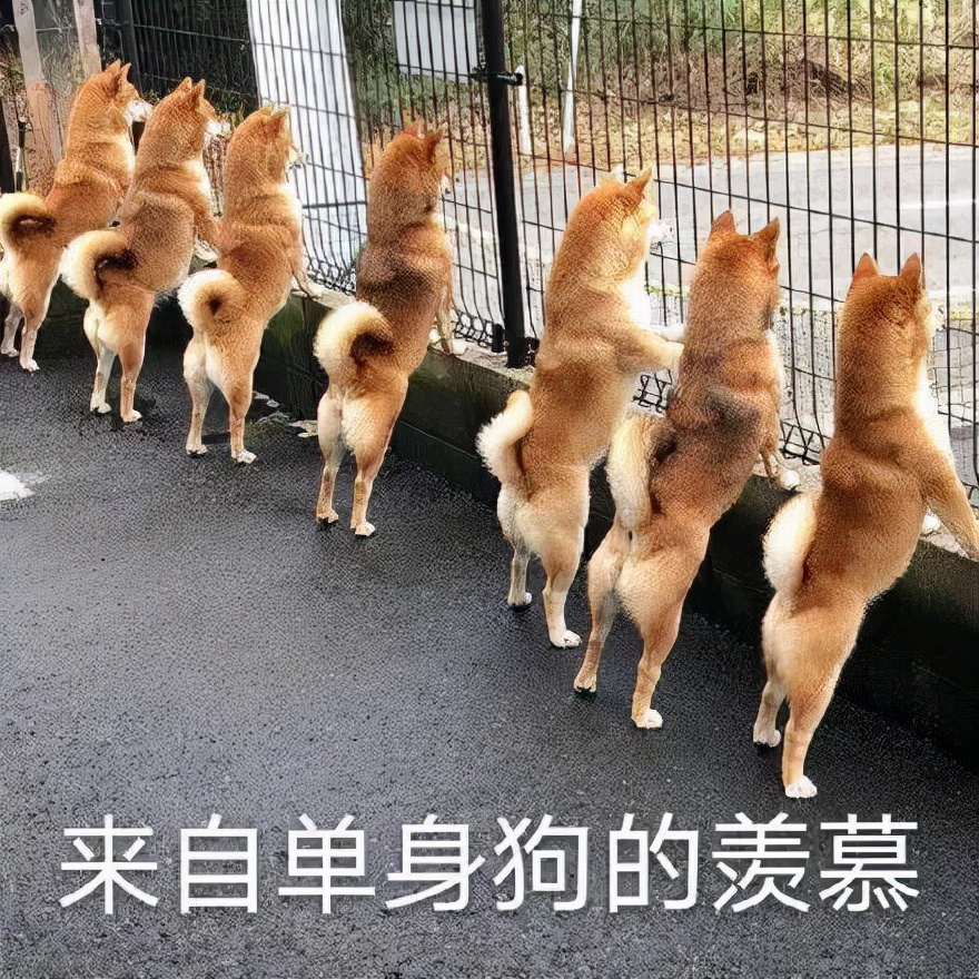 为什么治牙这么贵,为什么看牙病贵