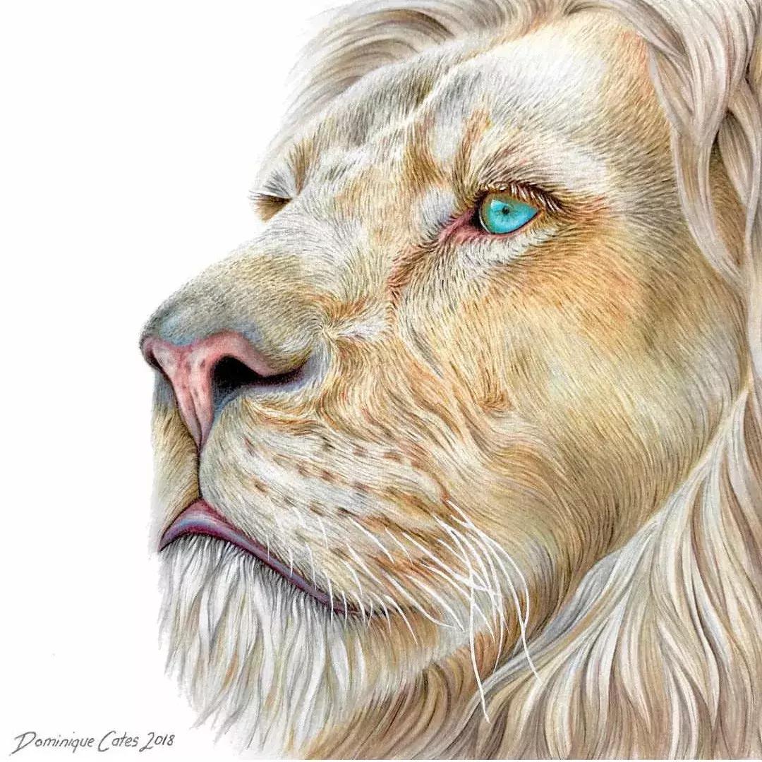 画得比实物好看,彩铅怎么样能画好看