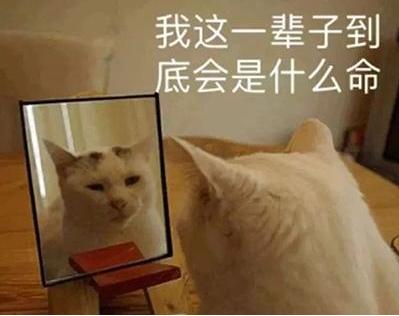 测评莆田鞋和真鞋的区别,莆田与真鞋对比评测