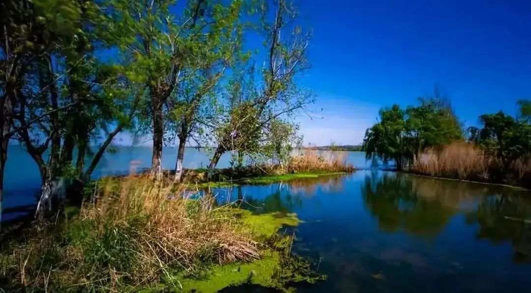 鏂颁簹娲蹭綋鑲插煄杩愬姩鏄ュ煄,椋庡皻涔嬭