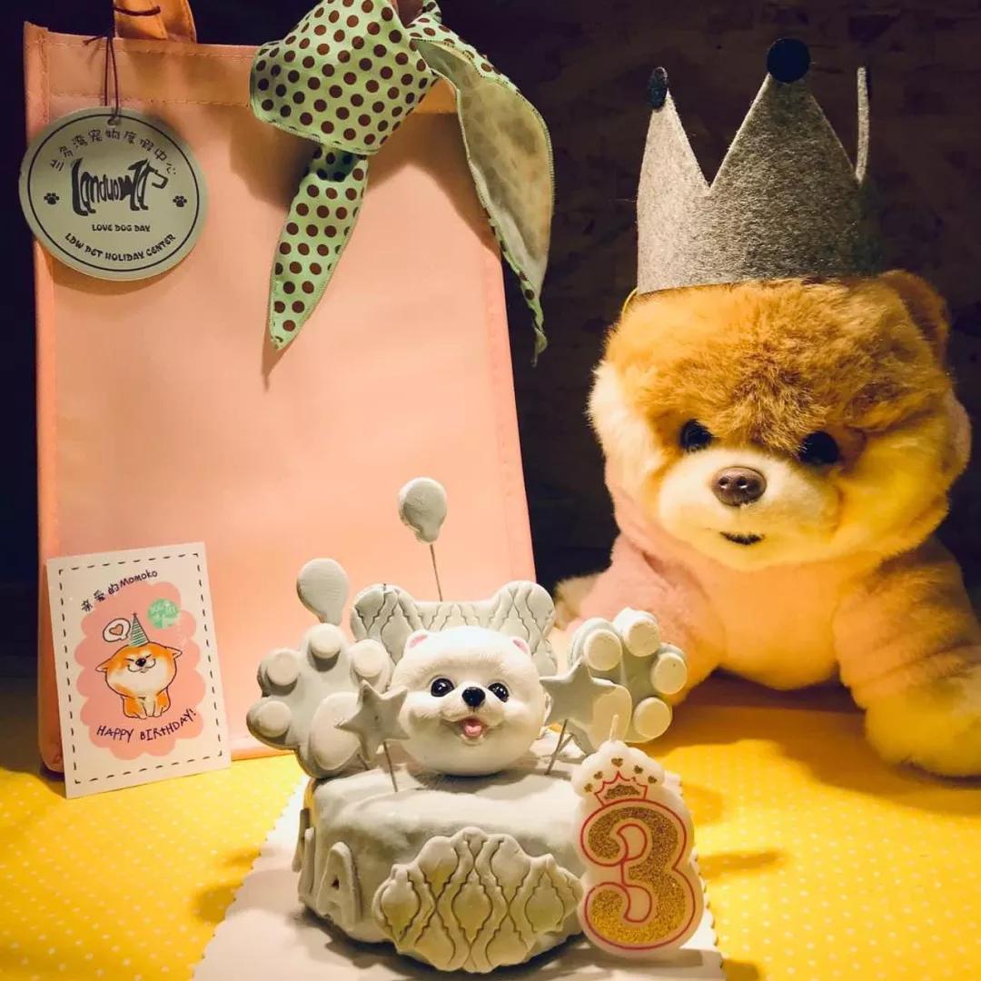 关于宠物店的选品和陈列,低端宠物店选品