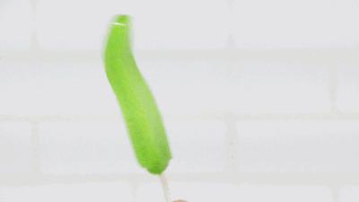 盘点那些既便宜又好吃的雪糕,低至一块钱的平价雪糕