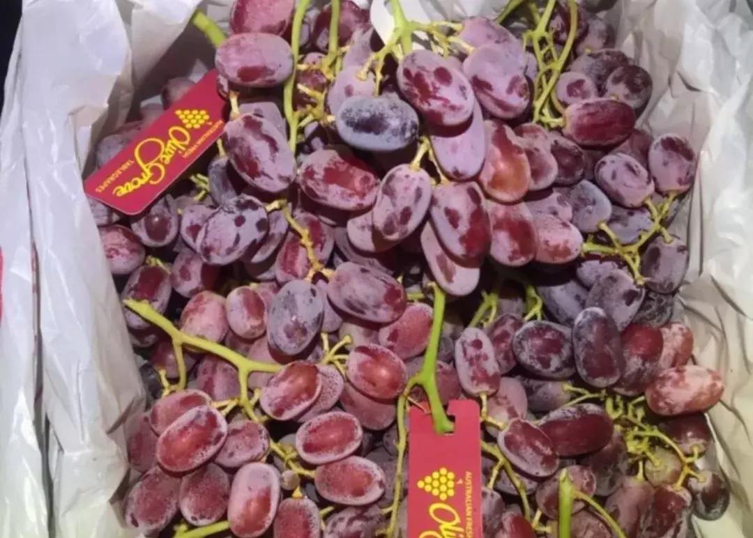 荔枝便宜批发市场,百大周谷堆水果批发市场荔枝价格