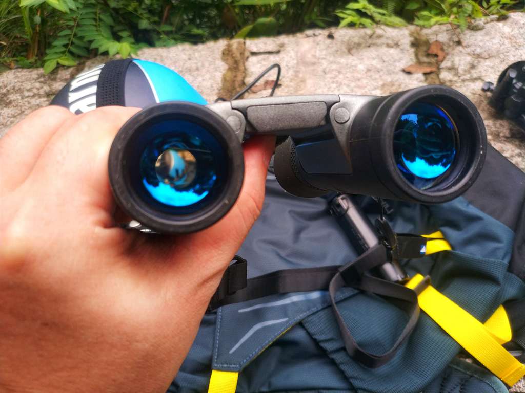 无惧强光视野无限--德国视得乐BluHorizons体验