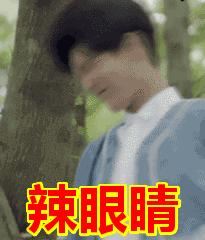 手机被植入了监听程序怎么办,手机访问网站被黑有病毒怎么办