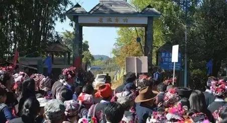 普洱茶2018年,2018普洱茶品质