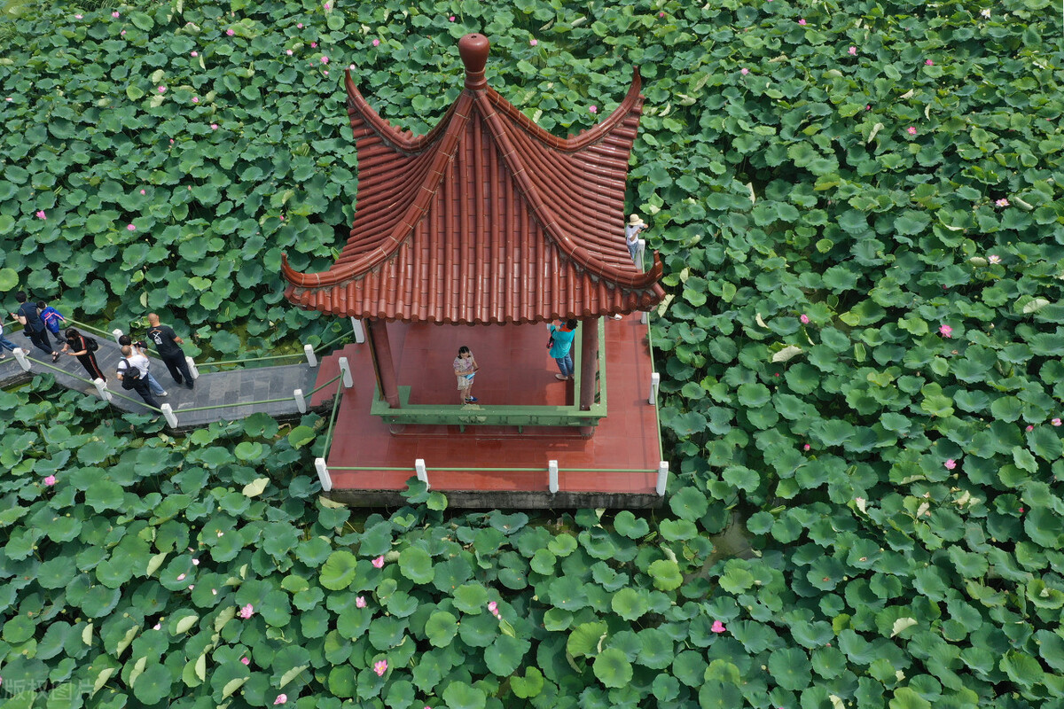 江苏苏大强有多厉害,江苏gdp最后十个县