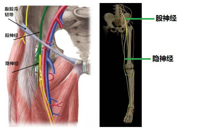 一条腿膝盖疼是关节炎吗,膝盖有一种奇怪的感觉但不是痛