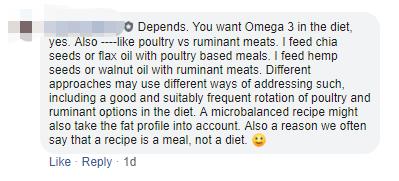 铲屎官是不是上当,铲屎官骗主子的视频