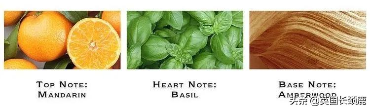 英国香水哪些系列,小众英伦风香水