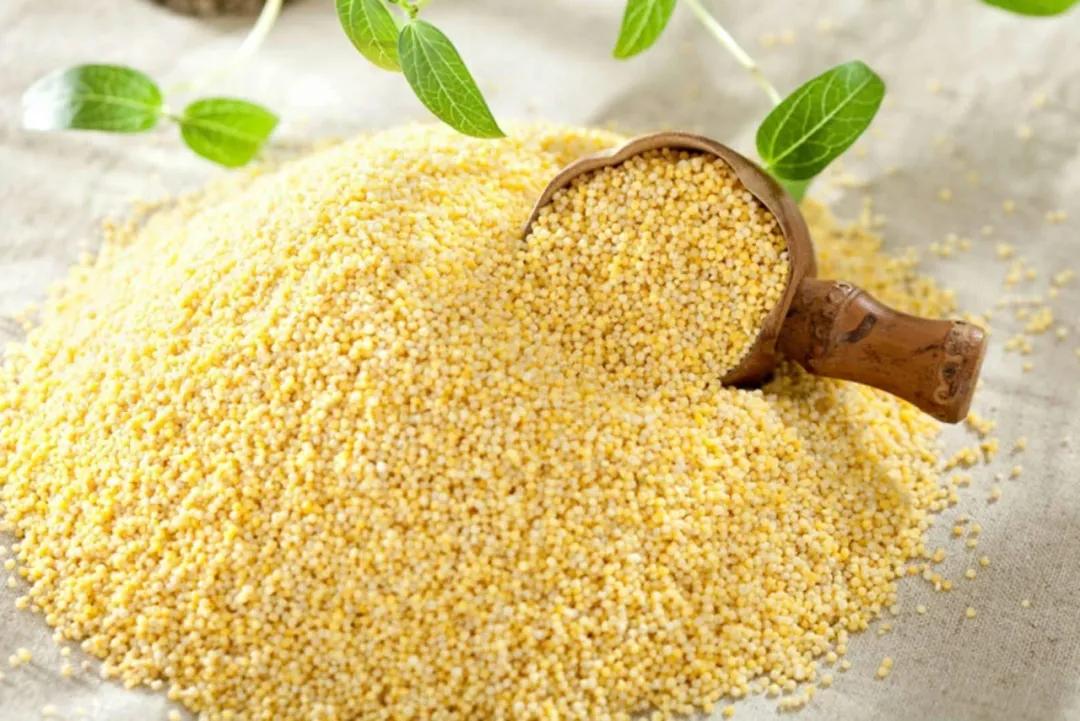 有机食品为何如此受欢迎,真正的有机食品在哪里