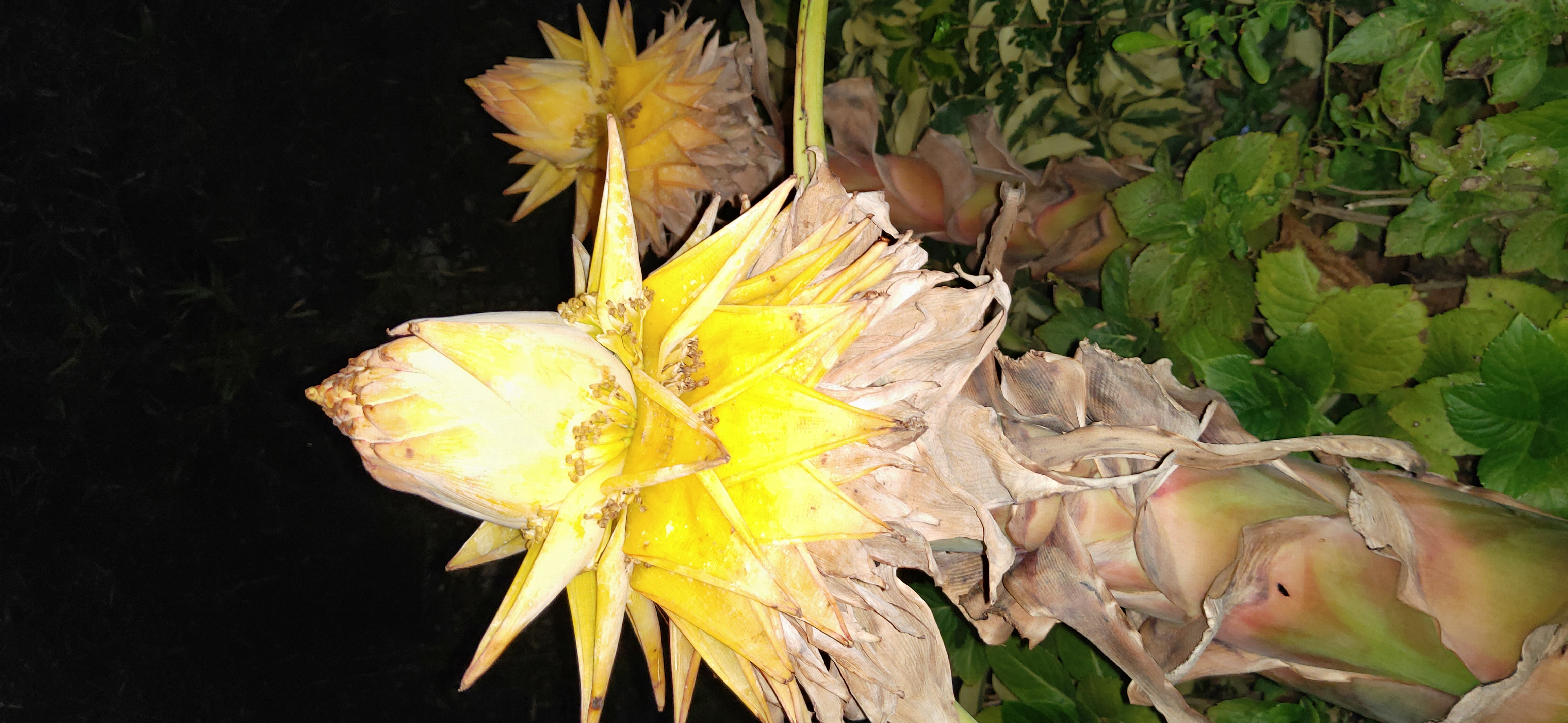 深圳客家甘坑小镇小吃推荐,古色古香甘坑客家小镇网红打卡