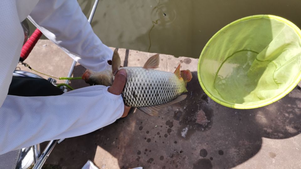 昆明周边钓青鱼的水库,昆明附近不收费的野钓塘