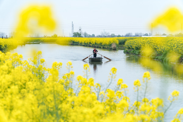 踏春赏花拍美景,踏春赏花逛湖