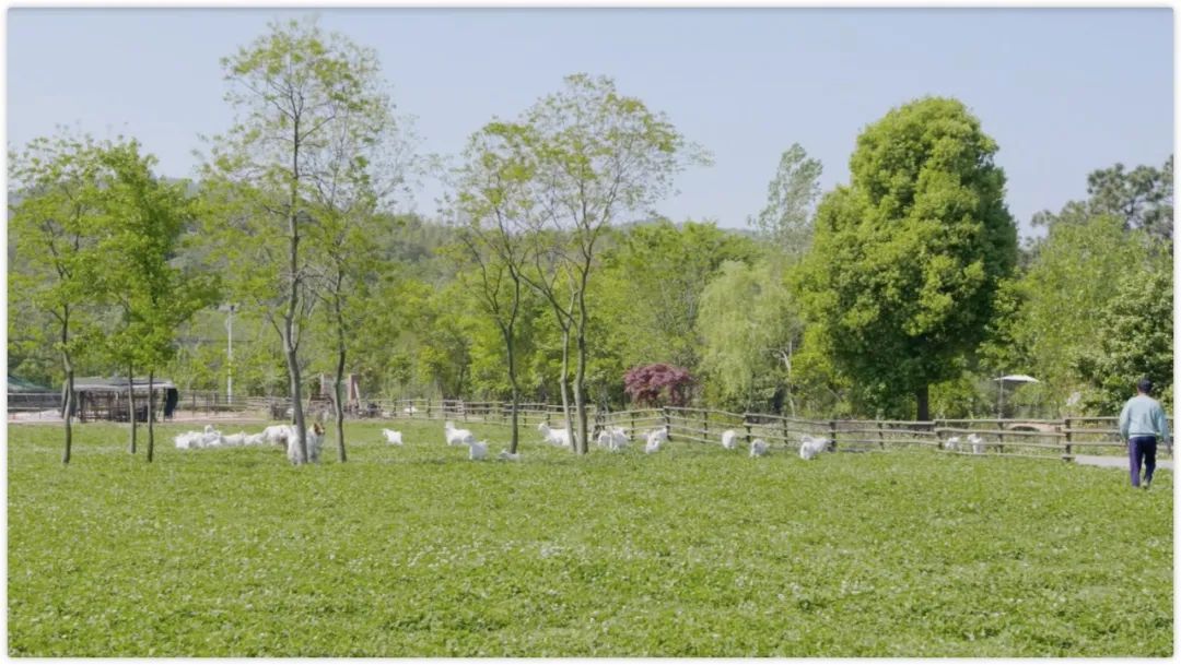 腾讯高管辞职隐居,腾讯元老隐居合肥