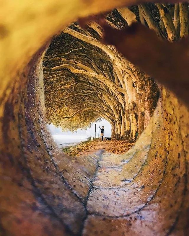 广东真的没有秋天凉吗,广东是没有秋天的吗文案