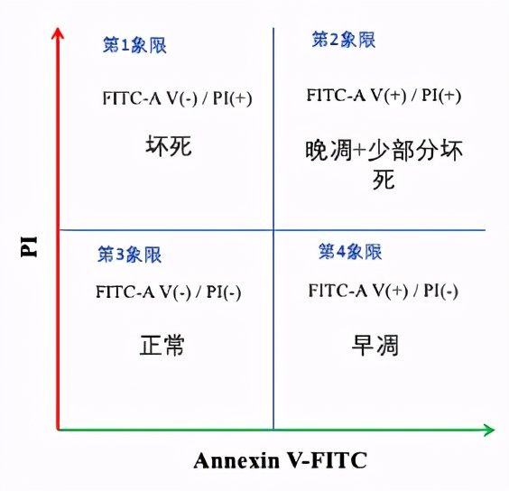 诺唯赞操作视频,诺唯赞细胞操作
