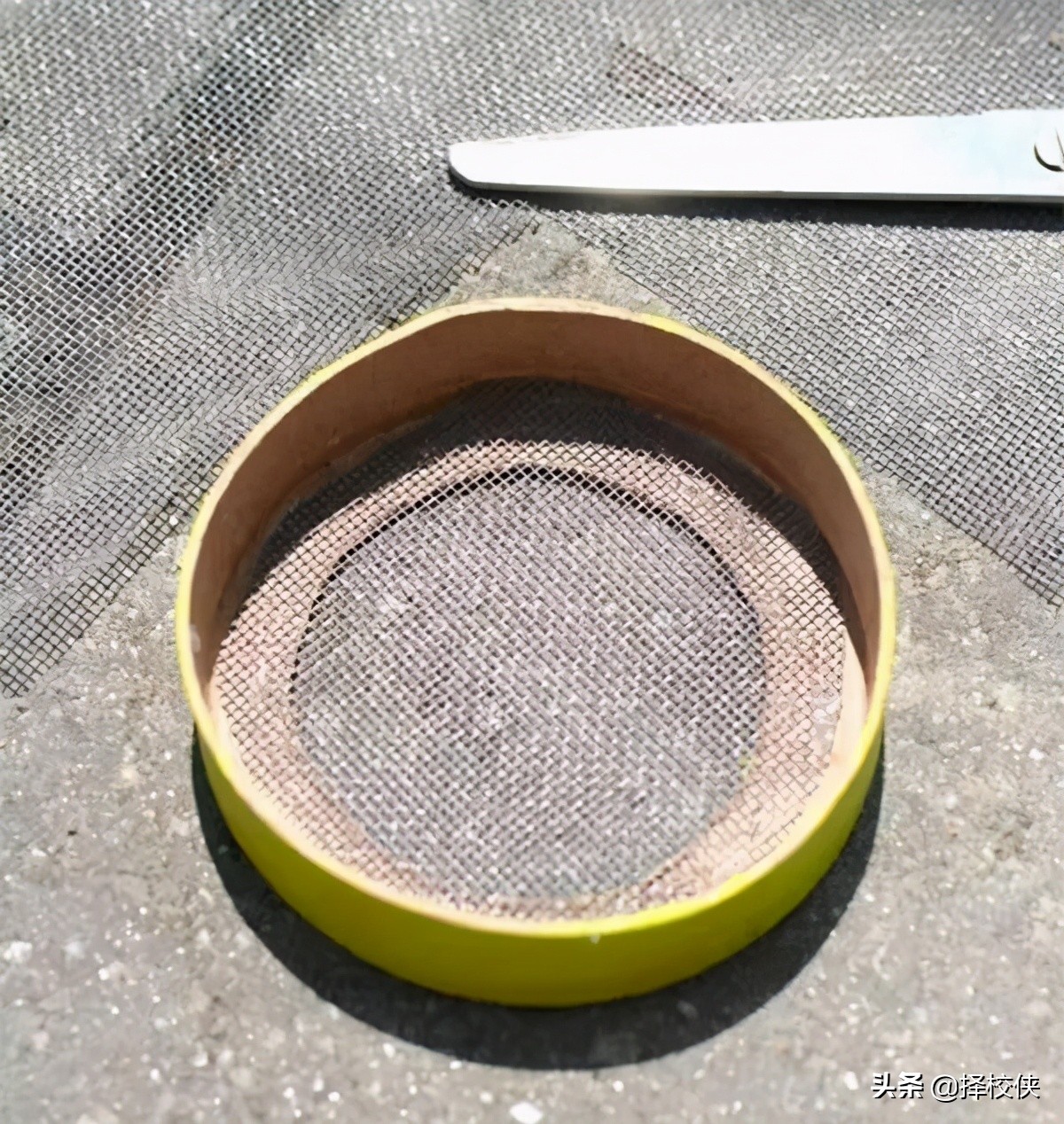 适合带娃玩的游戏,适合带孩子玩的游戏排行榜